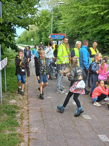 afbeelding 10