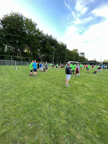 afbeelding 11