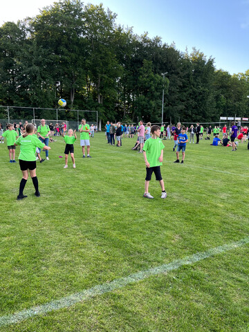 afbeelding 14