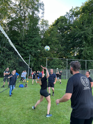 afbeelding 32