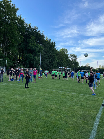 afbeelding 21