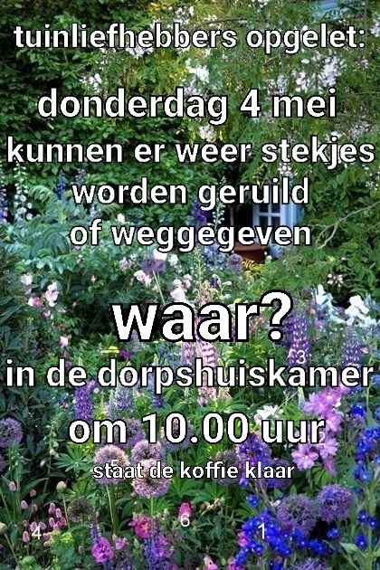 afbeelding 1