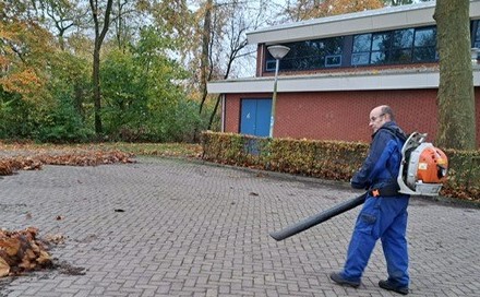 afbeelding 8