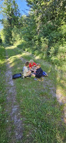 afbeelding 16