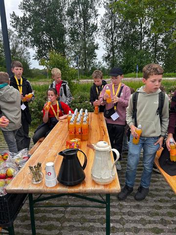 afbeelding 20
