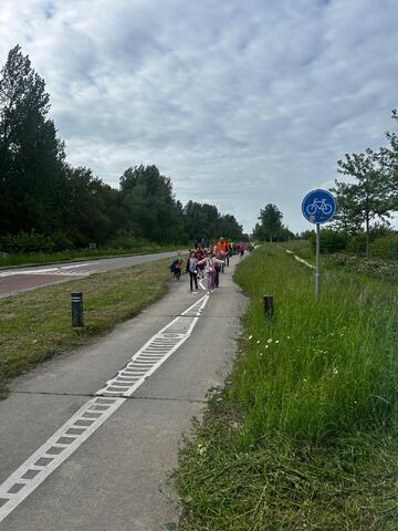 afbeelding 16