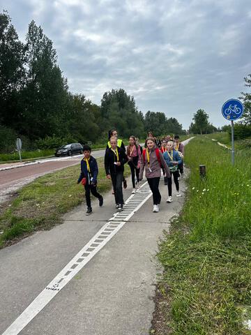 afbeelding 19