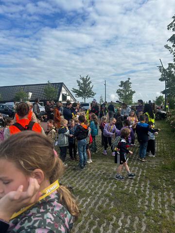 afbeelding 15