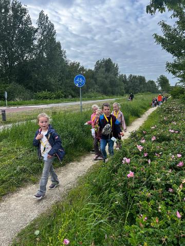 afbeelding 18
